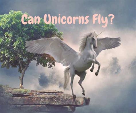 Can Unicorns Fly