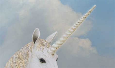 What Does a Unicorn Horn Look Like? - Unicorn Yard 🦄