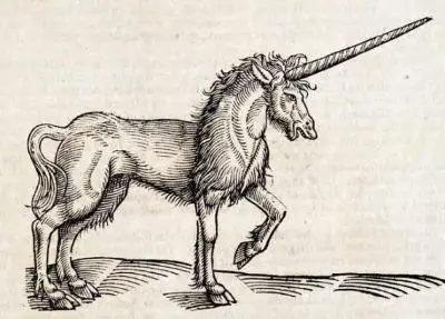 Historical unicorn that has similarities to an oxen.