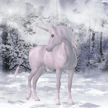 La licorne de montagne recherche des baies colorées dans la neige et profite du soleil.