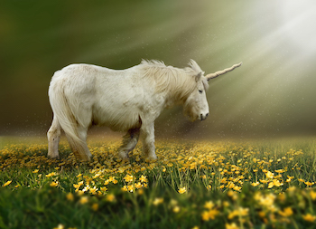 Unicorn in a meadow eating grass and flowers to keep their power level.