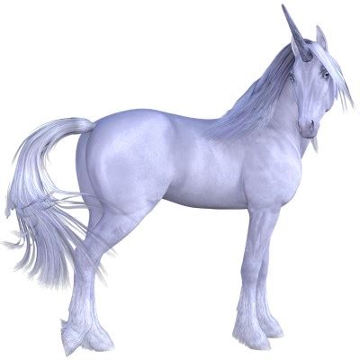 Perftect representation of the looks of a unicorn - white, elegant and simply stunning to look at!