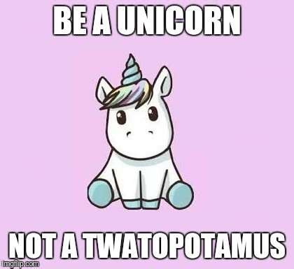 Be a Unicorn not a twatopotamus