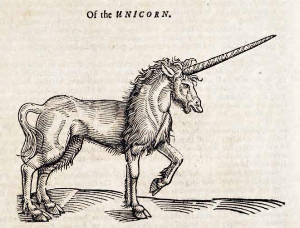 Medieval unicorn - a bit different from our todays approach