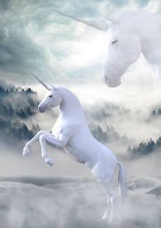 White unicorn mostly has positive associations